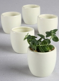 Ivy Lane Design Plain Round Flower Pots - 5 pk