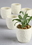 Ivy Lane Design Flourished Flower Pots - 5 pk