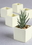 Ivy Lane Design Plain Square Flower Pots - 5 pk