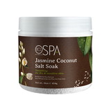 BCL SPA Jasmine Coconut Salt Soak