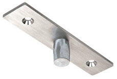 CRL Brushed Stainless Top Free Pivot