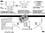 CRL ATS2420 1/4&#034;-20 A-T Series Insert Fasteners, Price/100 Each