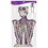 Beistle 00456 Jointed Day Of The Dead Skeleton, 4' 7"