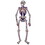Beistle 00456 Jointed Day Of The Dead Skeleton, 4' 7"