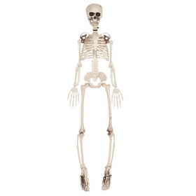 Beistle 00495 Plastic Skeleton, 3'