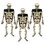 Beistle 01197 Skeleton Favor Boxes, skulls, arms, legs included; assembly required, 2" x 6&#188;", Price/3/Package