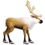 Beistle 20427 Jointed Reindeer, 3' 1