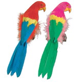 Beistle 50179-12 Tropical Parrots, asstd colors, 12