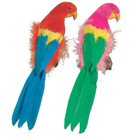 Beistle 50179-12 Tropical Parrots, asstd colors, 12"