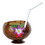 Beistle 50836 Plastic Coconut Cup, flower & straw included, 16 Oz