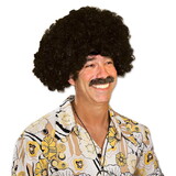 Beistle 60012 Afro Wig, one size fits most