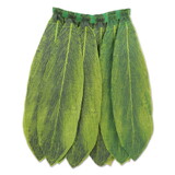 Beistle 60030 Ti Leaf Hula Skirt, green, 31