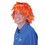 Beistle 90356 Fall Leaf Wig, one size fits most, Price/1/Package
