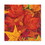 Beistle 90813 Fall Leaf Beverage Napkins, (2-Ply), Price/16/Package