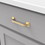 Hickory Hardware H076701-BGB Forge Collection Pull 3-3/4 Inch (96mm) Center to Center Brushed Golden Brass Finish