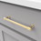 Hickory Hardware H077854BGB Piper Collection Pull 6-5/16 Inch (160mm) Center to Center Brushed Golden Brass Finish