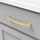 Hickory Hardware P2156-BGB American Diner Collection Pull 6-5/16 Inch (160mm) Center to Center Brushed Golden Brass Finish