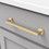 Hickory Hardware P3019-BGB Studio Collection Pull 7-9/16 Inch (192mm) Center to Center Brushed Golden Brass Finish