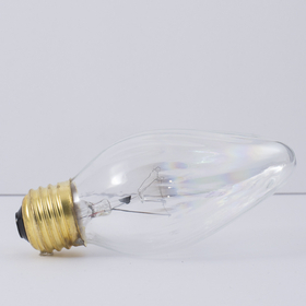 Bulbrite Incandescent F15 Medium Screw (E26) 25W Dimmable Light Bulb 2700K/Warm White 25Pk (421125)