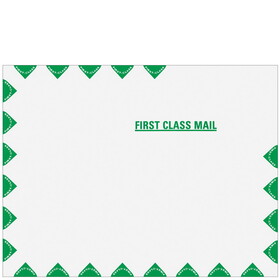 Super Forms 2262 - First Class Mail Tyvek Envelope (Peel &amp; Close)
