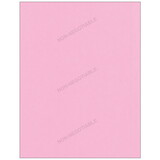 Super Forms 601 - Non-Negotiable Duplicate Part 3 Sheet (Pink)