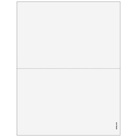 Super Forms B95BLANK - 2up Blank 1095 Form (without instructions)