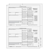Super Forms EFDIVS205 - 1099-DIV Dividends and Distributions - 2-part E-file Set (Preprinted)
