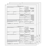 Super Forms EFMISCS305 - 1099 Miscellaneous Information 3-part E-file Set (Preprinted)