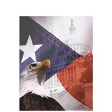 Super Forms TAXCVR3N - Tax Return Patriotic Folder