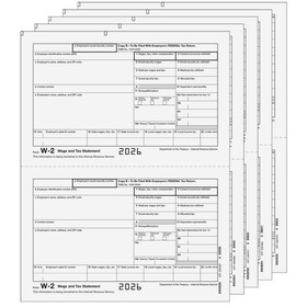 Custom Super Forms EFW2TRADS505 - Traditional W-2 Form 5-part E-file ...