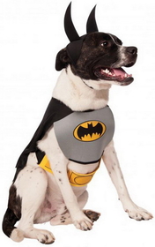 Ruby Slipper Sales 887891LXL-L Batman Dog Costume - L