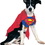 Ruby Slipper Sales 887892S Superman Dog Costume - S