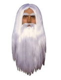 Ruby Slipper Sales 55590 Adult Merlin Wizard Wig and Beard Set - NS