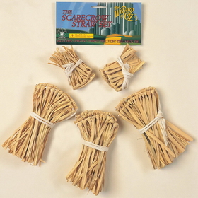 Ruby Slipper Sales 526 The Wizard of Oz - Scarecrow Straw Accessory Kit - NS