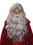 Ruby Slipper Sales 59285 Deluxe Adult Moses Wig and Beard Set - NS