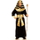 Ruby Slipper Sales 60442 Black and Gold Pharaoh Adult Costume - NS