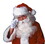 Ruby Slipper Sales R2303 Jolly Santa Wig and Beard Set - NS