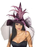 Rubies 154992 Purple Feathered Witch Hat
