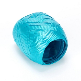 Ruby Slipper Sales 14337331-KEGP Aqua Blue (Turquoise) Curling Ribbon - NS