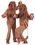 Charades Costumes CH88065XL Lion Adult X-Large