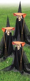 Forum Novelties 185087 Witchly Lawn Group