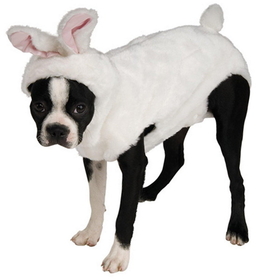 Ruby Slipper Sales 885940S Bunny Pet Costume - S