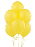 Birthday Express 230703 Yellow Matte Latex Balloons (6)