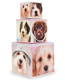 Birthday Express 232498 Rachael Hale Glamour Dogs - Cake Centerpiece (2)