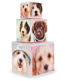 232498 Racahel Hale Glamour Dogs - Cake Centerpiece (1) - NS