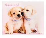 Birthday Express 232503 rachaelhale Glamour Dogs Thank-You Notes (8)