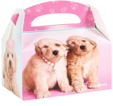 Birthday Express 232508 rachaelhale Glamour Dogs Empty Favor Boxes