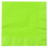 Creative Converting 233340 Fresh Lime (Lime Green) Luncheon Napkins (50)