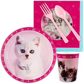 Birthday Express 239580 Rachelhale Glamour Cats Snack Party Pack