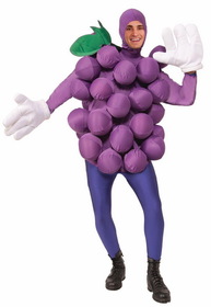 Ruby Slipper Sales 74157 Adult Purple Grapes Costume - NS